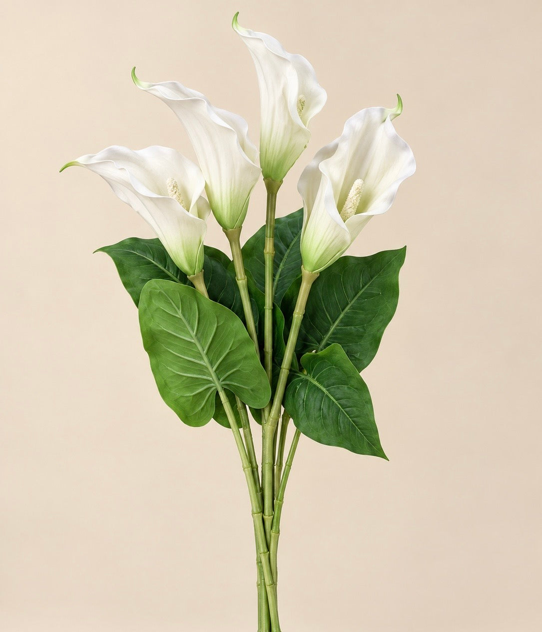Calla lilies