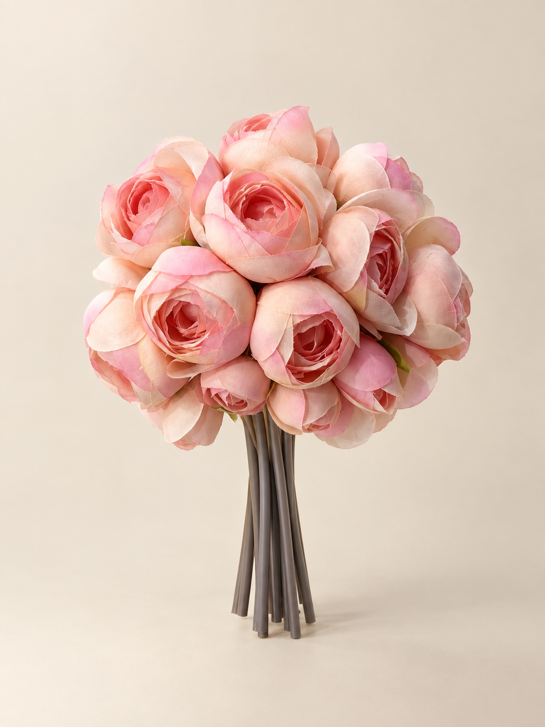 Pink ranunculus