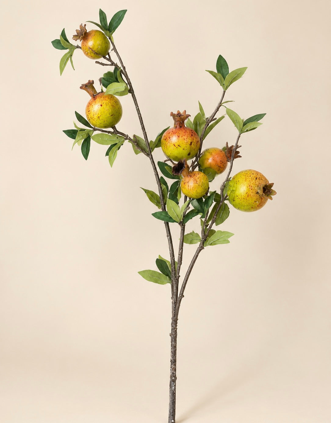 Unripe Pomegranates