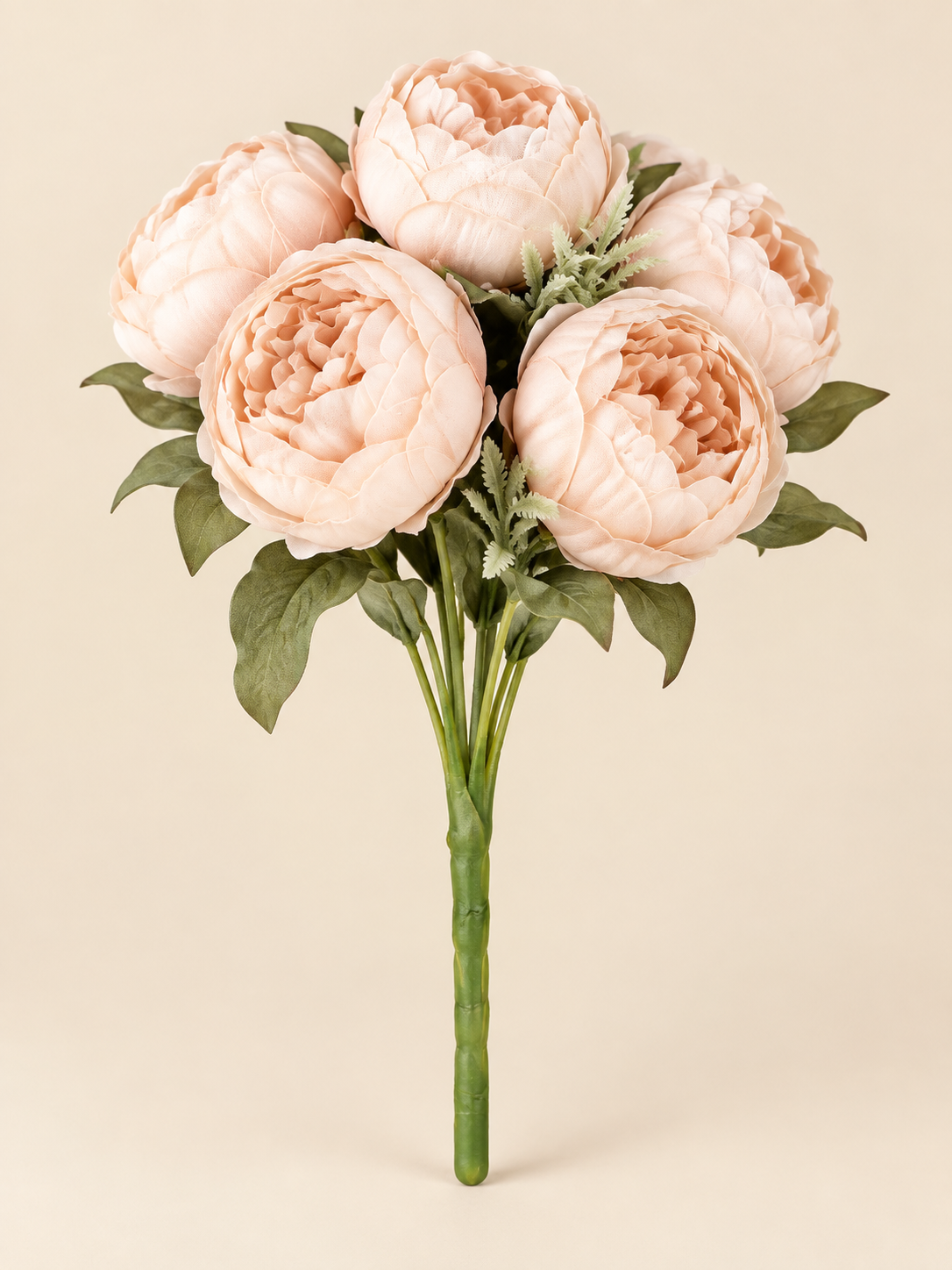 Pink peony