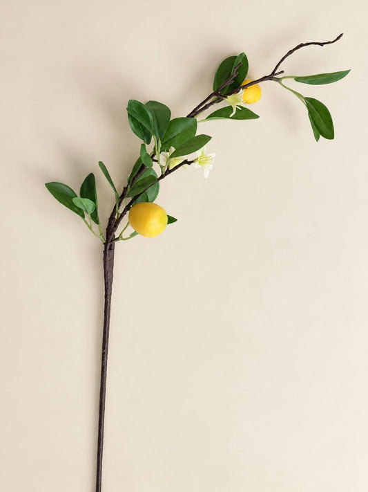 Lemon Branch